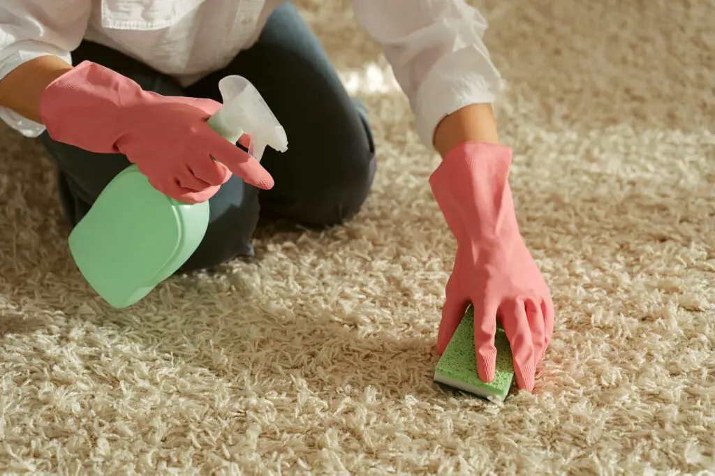 Best Hacks For Getting Rid Of Carpet Stains