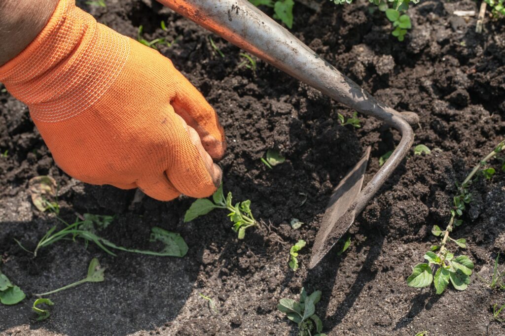 Best Ways To Get Rid Of Weeds