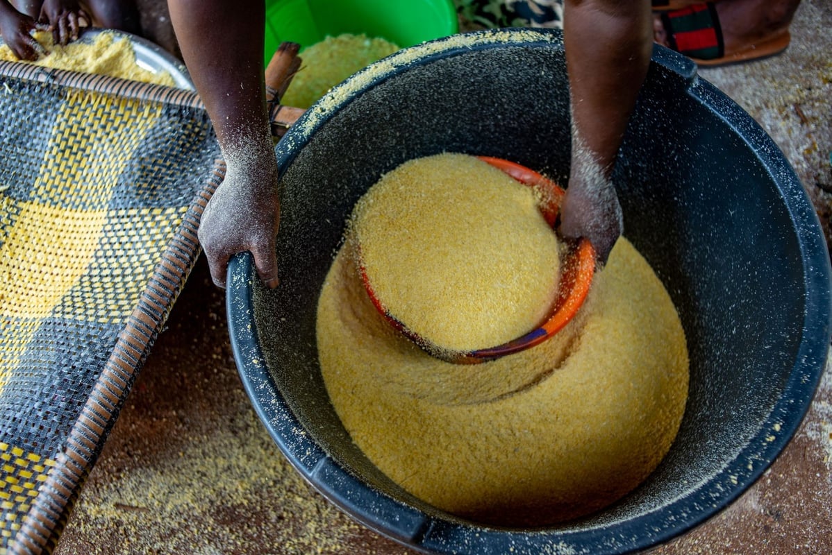 Hands sifting cornmeal in a large container, showcasing raw food preparation process.